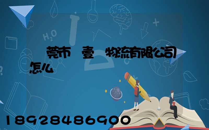 東莞市來壹來物流有限公司怎么樣